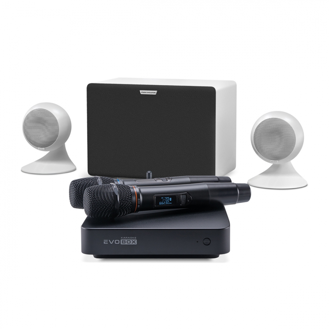 караоке-комплект EVOBOX Classic + EvoSound Sphere 2.1 в Кусе