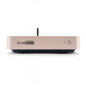 EVOBOX Plus караоке-система для дома в Кусе