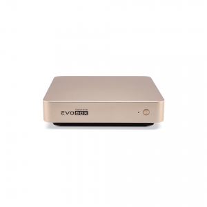 EVOBOX с микрофонами в Кусе