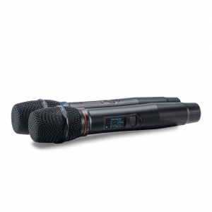 SE-200D цифровые микрофоны в Кусе